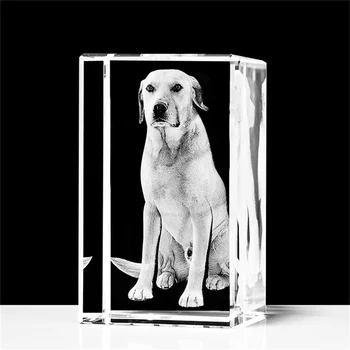 Asmeninį Šuo Atminimo Dovanos su Savo Nuotrauka Šunų Mylėtojai 3D Lazeriu Graviruotas nuotraukų Rėmelis, naminių Gyvūnėlių Savininkams, Atminties Šuns Dovana